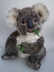 Little-Koala